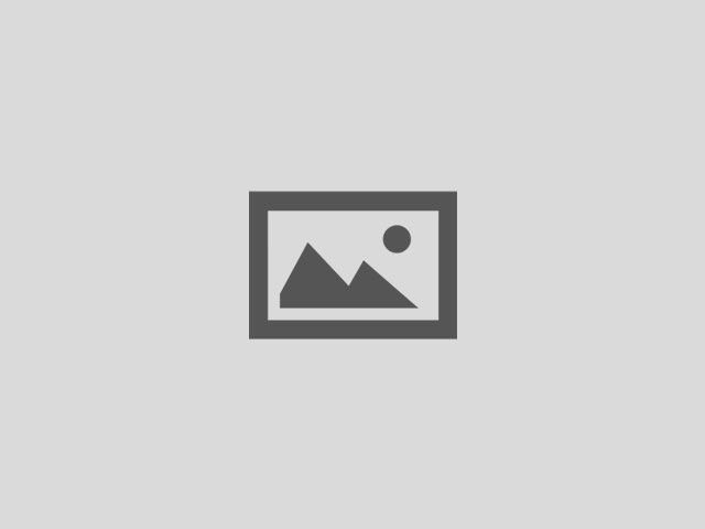 Blogs