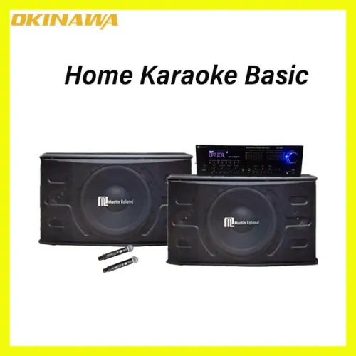 Matrin Roland 10 inch Power Speaker Home Karaoke Basic Package
