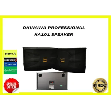 Okinawa Professional 10 INCH Loudspeaker